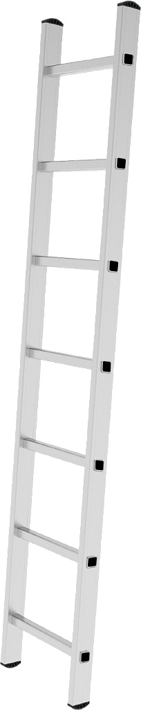 Лестница односекционная NV 2210