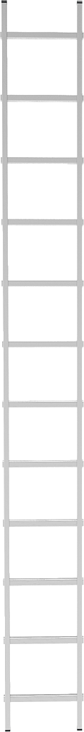 Лестница односекционная NV 2210