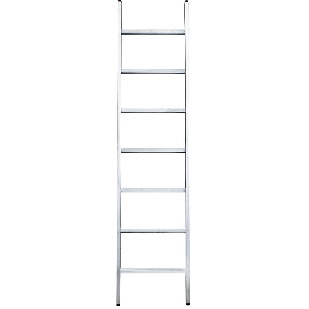 Лестница односекционная NV 5210